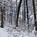 im Schnee unterwegs - kurz mit kleinen blauen Ausblicken ...