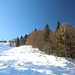 im Aufstieg zur Reichensauer Alm