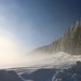 Morgennebel