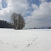 doch beträchtlich viel Schnee oberhalb Schongau