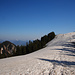 Schlussspurt im weichen Schnee