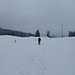 An der Schwaigeralm