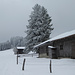 Schwaigeralm