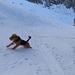Oskar mit Gefolge