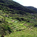 Die Levada do Canical schlängelt sich durch die Berghänge nördlich von Machico und bietet daher einen schönen Blick auf die Terrassenfelder.