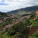 Blick auf Machico von der Levada do Canical. Alles grünt und blüht im April.
