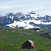 unten grün oben weiss, auf dem Hohen Kasten