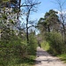 Kurz nach dem Parkplatz bei Arbonne la Forêt.