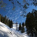 unterwegs zur Thalalm