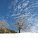 unterwegs zur Thalalm