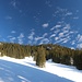Wiesen bei der Thalalm