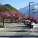 dal parcheggio