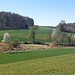 Tümpel 