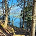 Hi und da gibt der Wald Blicke frei