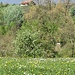 La Cascina Mirasole vista da via dei Boderi.