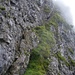 fast der gesamte "Klettersteig" in einem Bild - in etwa 40 Höhenmeter sind so zu überwinden