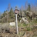 Der nächste Felsen, die Habichtsklippe ist stark bewachsen und eher ein mit Felsgestein garnierter Erdhügel. Natürlich musste ich auch da hinauf, was entlang einer Trittspur einfach möglich war.