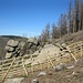 Der von mir genommene frühere Weg zum Felsen Mönch endet an diesem neuen Wildschutzzaun. Man muss stattdessen vom Hauptweg aus auf der anderen Seite des Zaunes gehen. Der Felsen selbst ist einfach begehbar und nur als Aussichtspunkt interessant.