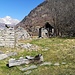 Piodacalva