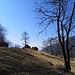 Piodacalva