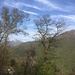 Monte Scioscia ... panorama
