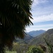 Palmiers et montagnes boisées... ça ne peut être que le Tessin