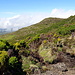Typische Landschaft im Hochland der Insel Pico auf ca. 1000m.