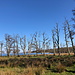 Klostermølle - Die "Klostermühle" befindet sich am Westufer des Mossø.