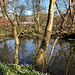 Unterwegs am Klosterkanalen - Blick über blühende Buschwindröschen und den Kanal.