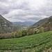 Val Brembilla