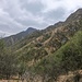 Valle degli Zocchi