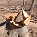 Forse chi ha fatto queste fette di legno con la motosega aveva voglia di anguria….