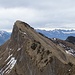 Jetzt geht es weiter zum Tierberg.