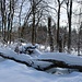 Winter in der Rhön.