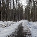 Auf breitem Fahrweg schwingt die Wanderung aus.