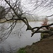 Am River Tweed