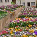 Schlossgarten 