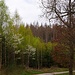 Hinauf zum Hasenbahnhof 
