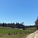 Nun geht's dem Col de La Tourne entgegen, wo bereits die nächste Pause ansteht.<br /><br /><br />