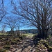 Im zweiten Teil der Wanderung steige ich nun zu den Tablettes auf.<br /><br /><br />