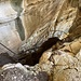 Eningang in die Grotte d'Orjobet