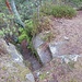 Schließlich wendet sich eine besonders schmale Stufenreihe in einem kleinen Spalt von Felsgrat links hinunter. 