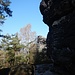 ...und wanderten dahinter auf einem guten Steig nach Osten.