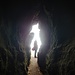 Die Schwedenhöhle ist eine durch Verwitterung entstandene Klufthöhle. Sie ist ca. 17 Meter lang. Im Dreißigjährigen Krieg, insbesondere im Jahr 1639, soll die Höhle als kurzzeitiger Zufluchtsort für die Bewohner der Umgebung gedient haben.
