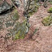 Von hier aus wanderten wir ein paar Schritte nach rechts, Richtung Pavillon, dann stiegen wir hinunter zur Schwedenhöhle. Gut sichtbare Holzstufen führen in zwei Kehren in eine kleine Schlucht hinunter. 