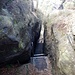 Wir machten uns an den Abstieg über die anspruchsvollste Stiege am Gohrisch: Die Falkenschlucht. 