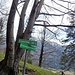Der Weg zum Loisachblick ist ausgeschildert