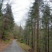 Recht bald stößt man dann wieder auf eine solide Forststraße, wo der Weiterweg dann wieder ausgeschildert bzw. logisch ist. 