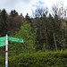 Am Parkplatz am Gipsbruch folgt man den Wegweiser nach rechts (Osten). Der Rundweg "Grüner Fleck" sollte man sowieso meiden: Der führt auf einer langweiligen Forststraße ohne Sichtachsen und baut dabei zig Höhenmeter auf. 