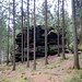 Über 100 hölzerne Stufen führen hier den Waldhang hinunter zu einigen markanten Felsgestalten beim Kletterfelsen "Waldkapelle".